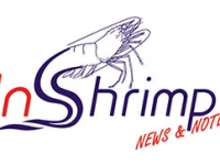 Image InShrimp_Aug